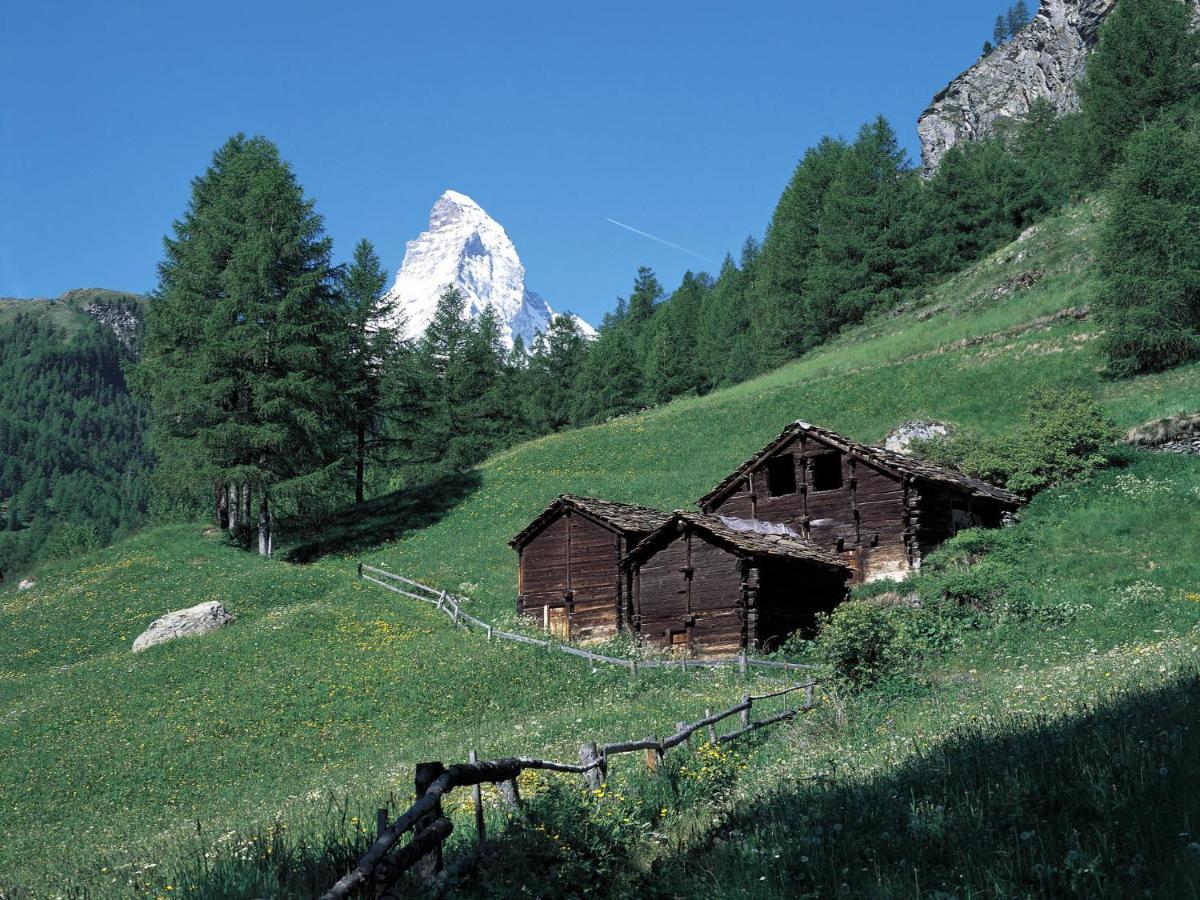 Apartment Imperial-10 By Interhome Zermatt Eksteriør billede